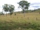 Gunalda QLD 4570