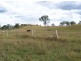 Gunalda QLD 4570
