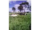 Sexton QLD 4570