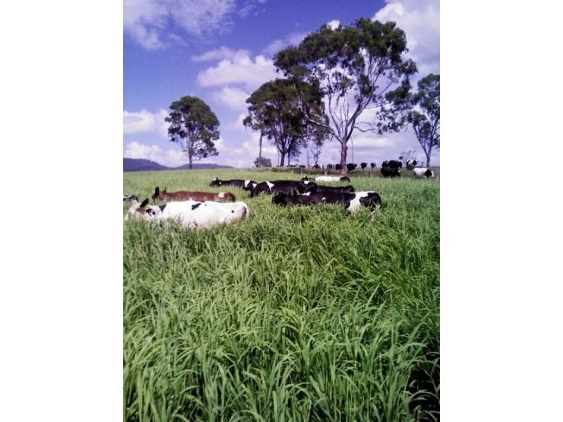 Sexton QLD 4570