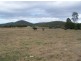 Kilkivan QLD 4600