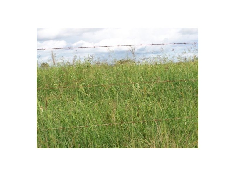 2524 Anderleigh Road, Kia Ora QLD 4570