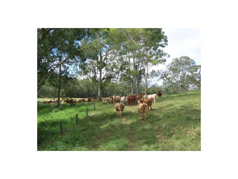 2524 Anderleigh Road, Kia Ora QLD 4570