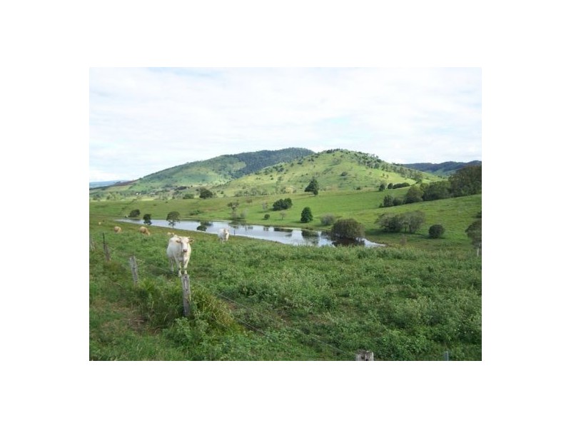 2524 Anderleigh Road, Kia Ora QLD 4570