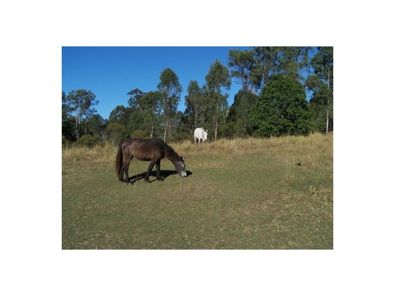 Mcintosh Creek QLD 4570