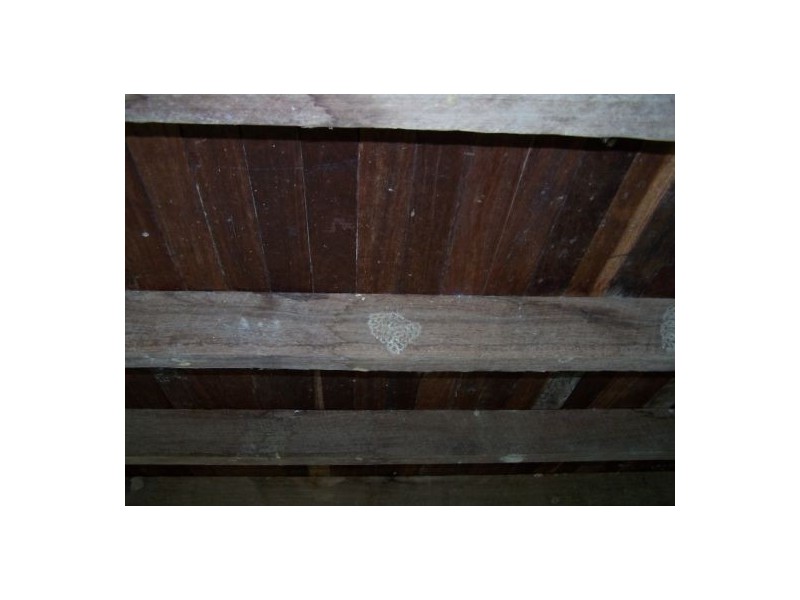 58  Henry Street, Gympie QLD 4570