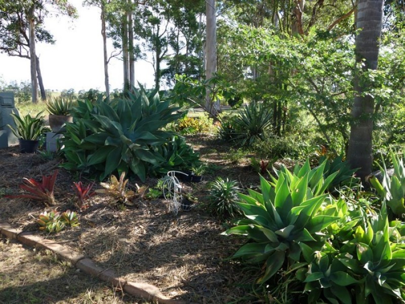 156 Percival Road, Chatsworth QLD 4570