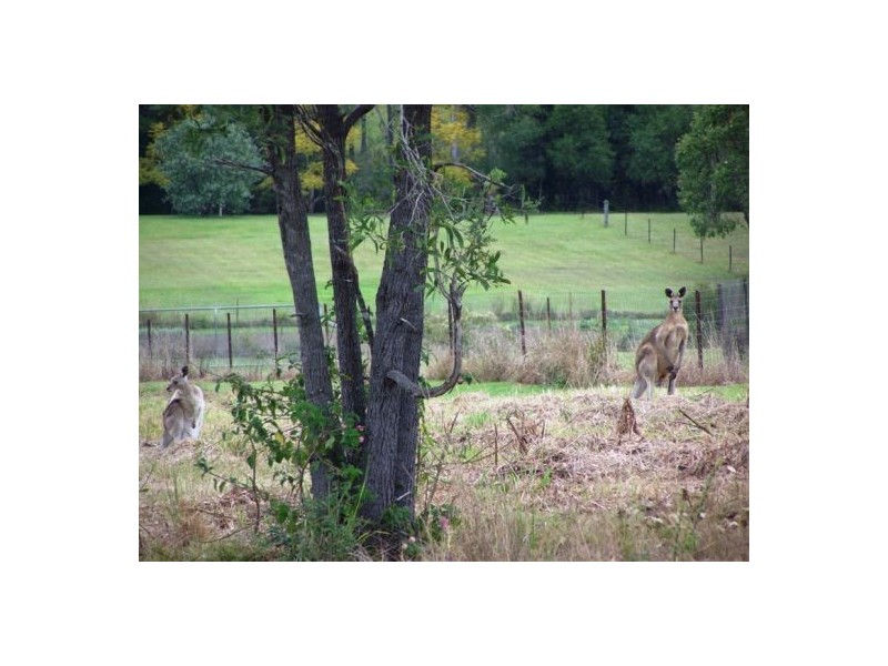 Lot 13 Arborone Road, Glenwood QLD 4570