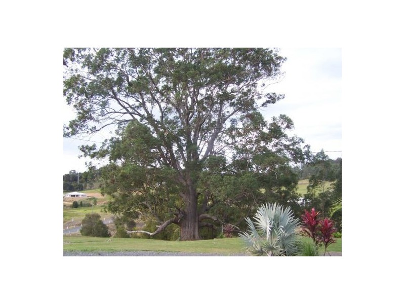 East Deep Creek QLD 4570