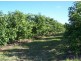 Gympie QLD 4570