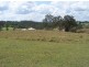 Victory Heights QLD 4570