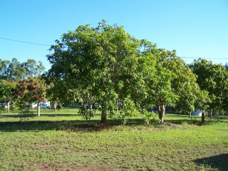 Glenwood QLD 4570