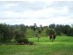 Langshaw QLD 4570
