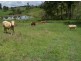Amamoor QLD 4570