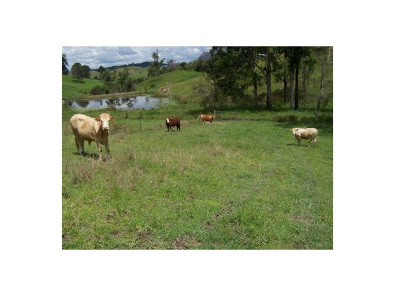 Amamoor QLD 4570