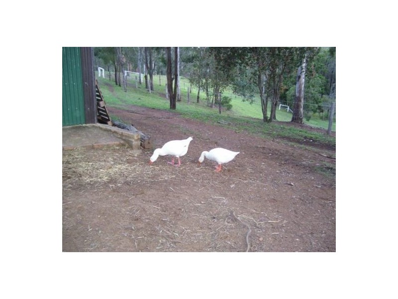 Calico Creek QLD 4570