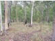 Glenwood QLD 4570
