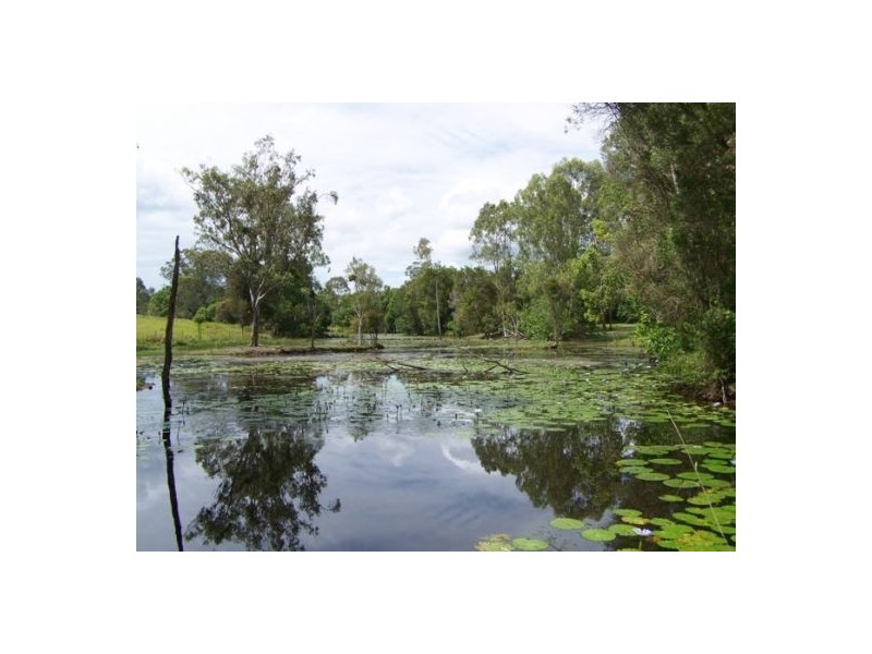 Cedar Pocket QLD 4570