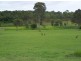 Glenwood QLD 4570