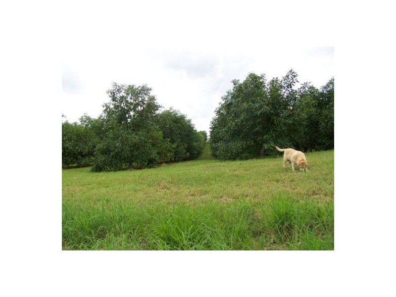 Marys Creek QLD 4570