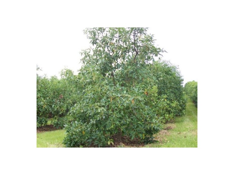 Marys Creek QLD 4570