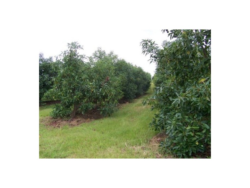 Marys Creek QLD 4570