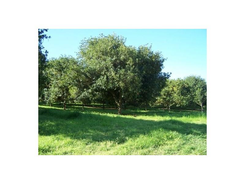 Marys Creek QLD 4570