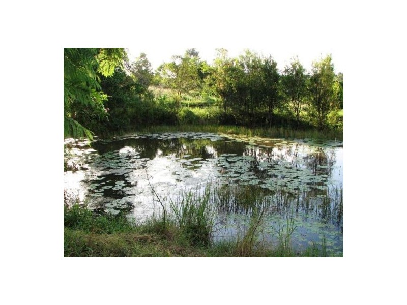 Cedar Pocket QLD 4570