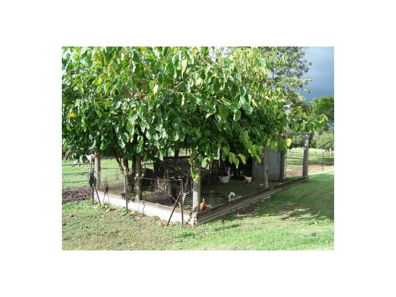 Cedar Pocket QLD 4570