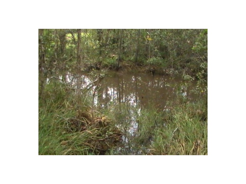Bauple QLD 4650