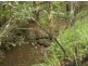 Bauple QLD 4650