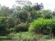 Cedar Pocket QLD 4570