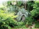 Cedar Pocket QLD 4570