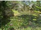 9 Corella Court, Gympie QLD 4570