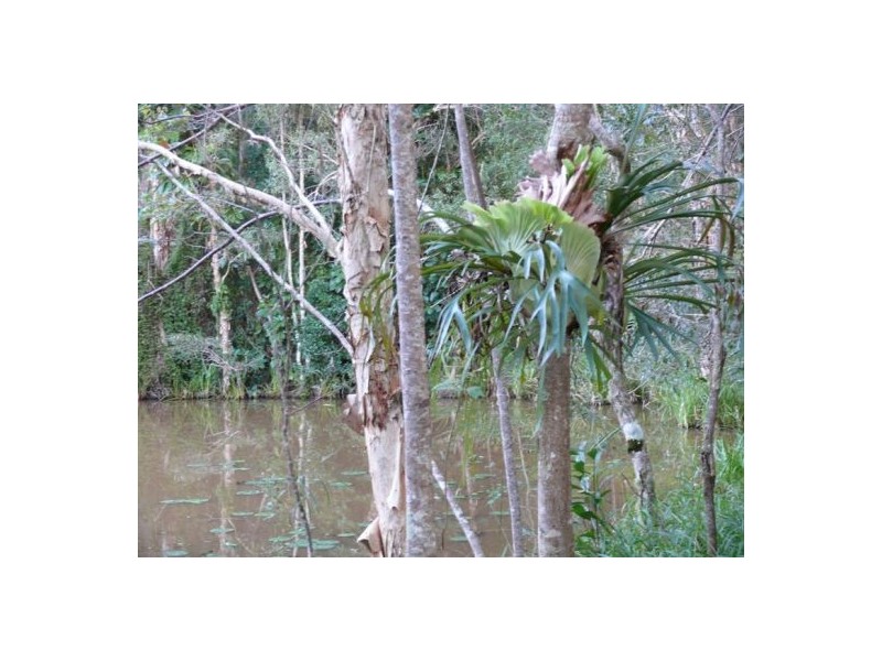 96 Buckleys Road, Kin Kin QLD 4571