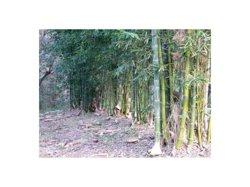 96 Buckleys Road, Kin Kin QLD 4571