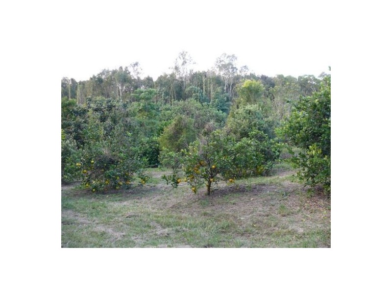 96 Buckleys Road, Kin Kin QLD 4571