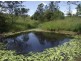 Wolvi QLD 4570
