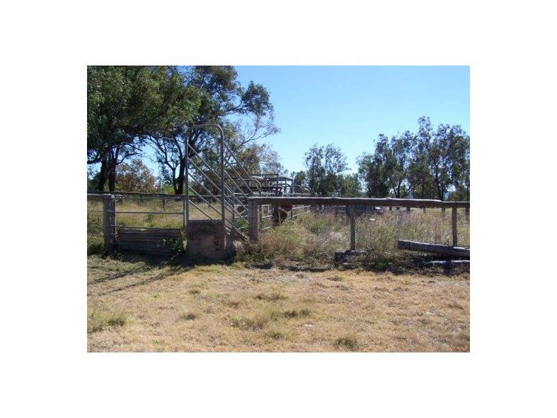 Cinnabar QLD 4600