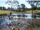 Jones Hill QLD 4570