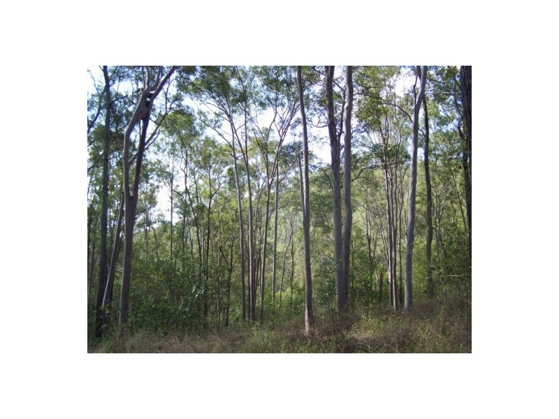 Glastonbury QLD 4570