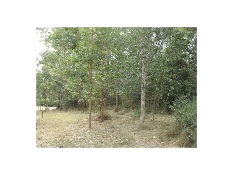 Greens Creek QLD 4570