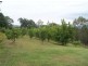 Imbil QLD 4570