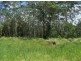 Wolvi QLD 4570