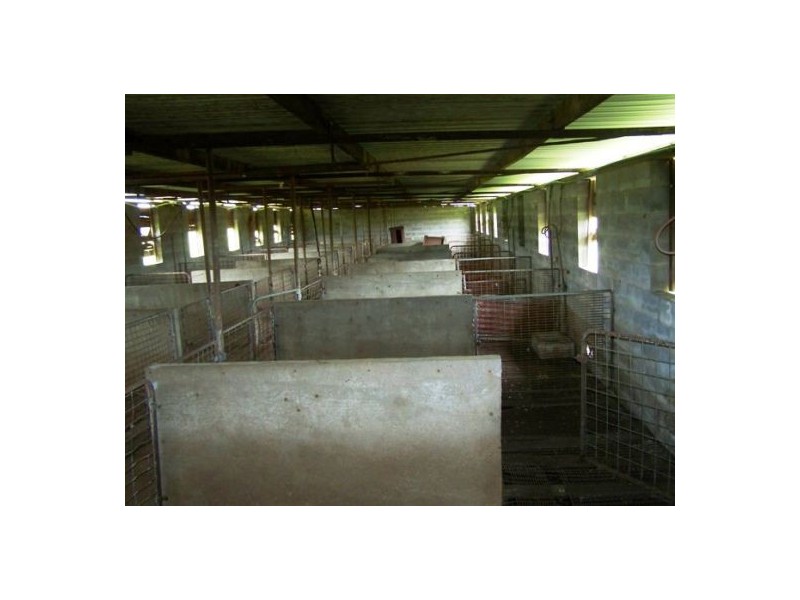 Lower Wonga QLD 4570