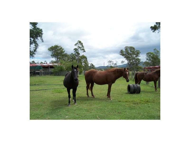 93 Power Road, Widgee QLD 4570