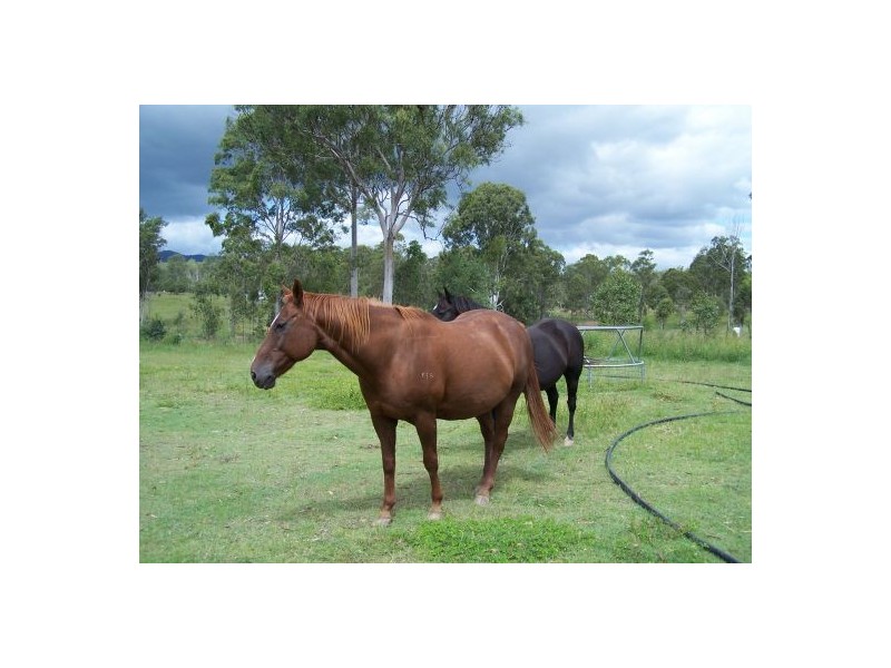 93 Power Road, Widgee QLD 4570