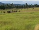 Widgee QLD 4570