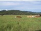 Widgee QLD 4570