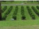 Langshaw QLD 4570